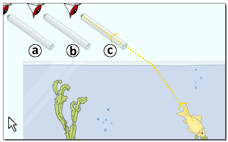 Seitliche Ansicht: Fisch unter der Wasseroberfläche, mit eingezeichnetem Lichtstrahlenverlauf, welche offenbaren, dass die tatsächliche Positionen von der wahrgenommen Position des Fisches abweicht.