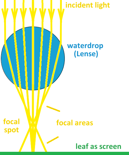 Die Brechung von Lichtstrahlen beim Durchqueren eines Tropfens, welcher als kugelförmige Linse wirkt. Nach der Durchquerung ergeben sich Zonen für Brennflecken und ein Brennpunkt.