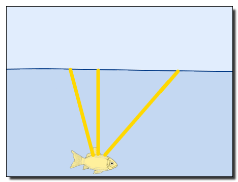 Fisch unter der Wasseroberfläche mit 3 beispielhaften Lichtstrahlen.