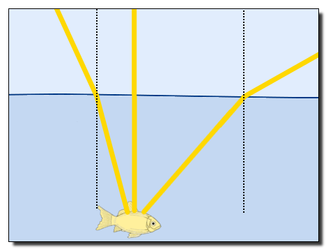 Fisch unter der Wasseroberfläche mit 3 beispielhaften Lichtstrahlen.